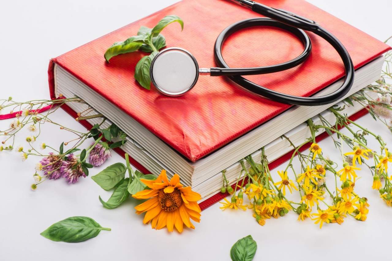 Propiedades del mapurite y dónde comprar: Centro de Naturopatía y Salud