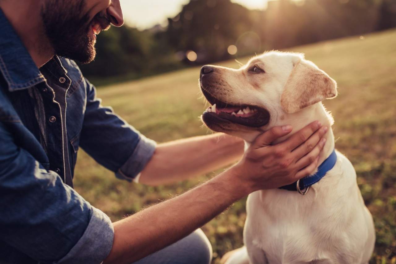 Aumentan las visitas veterinarias en Algeciras por Clínica Veterinaria El Estrecho