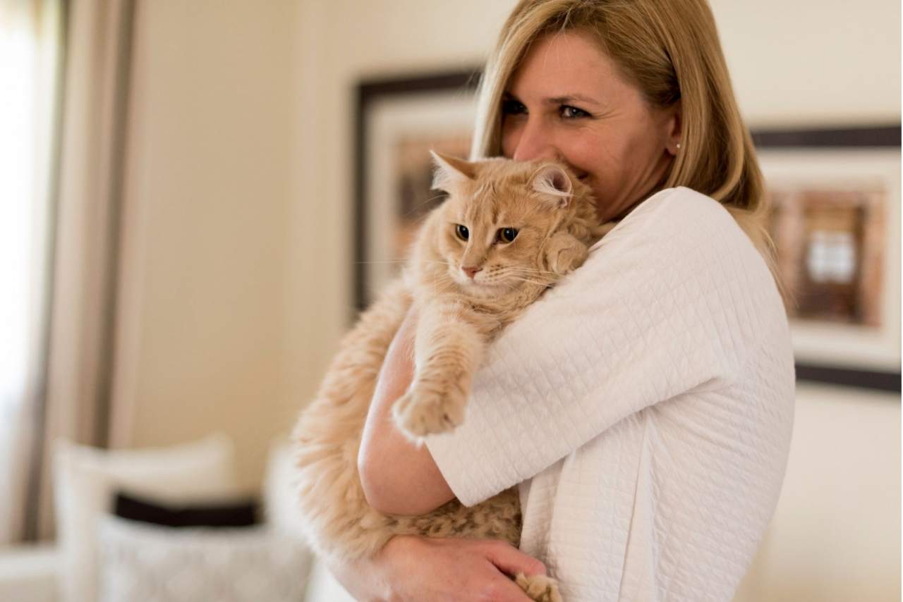 Encantadora de Gatos: ¿Se puede educar a un gato o corregir la conducta o comportamientos indeseados?