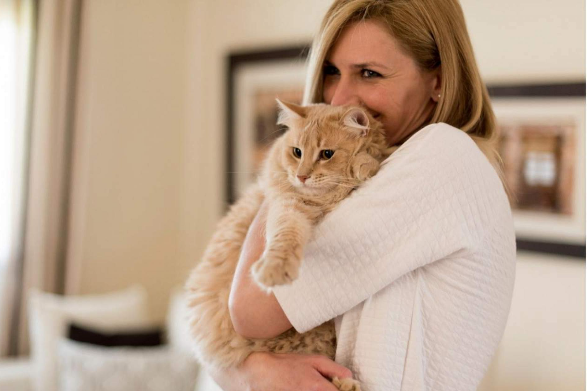 Encantadora de Gatos: ¿Cómo educar a un gato para que no muerda?