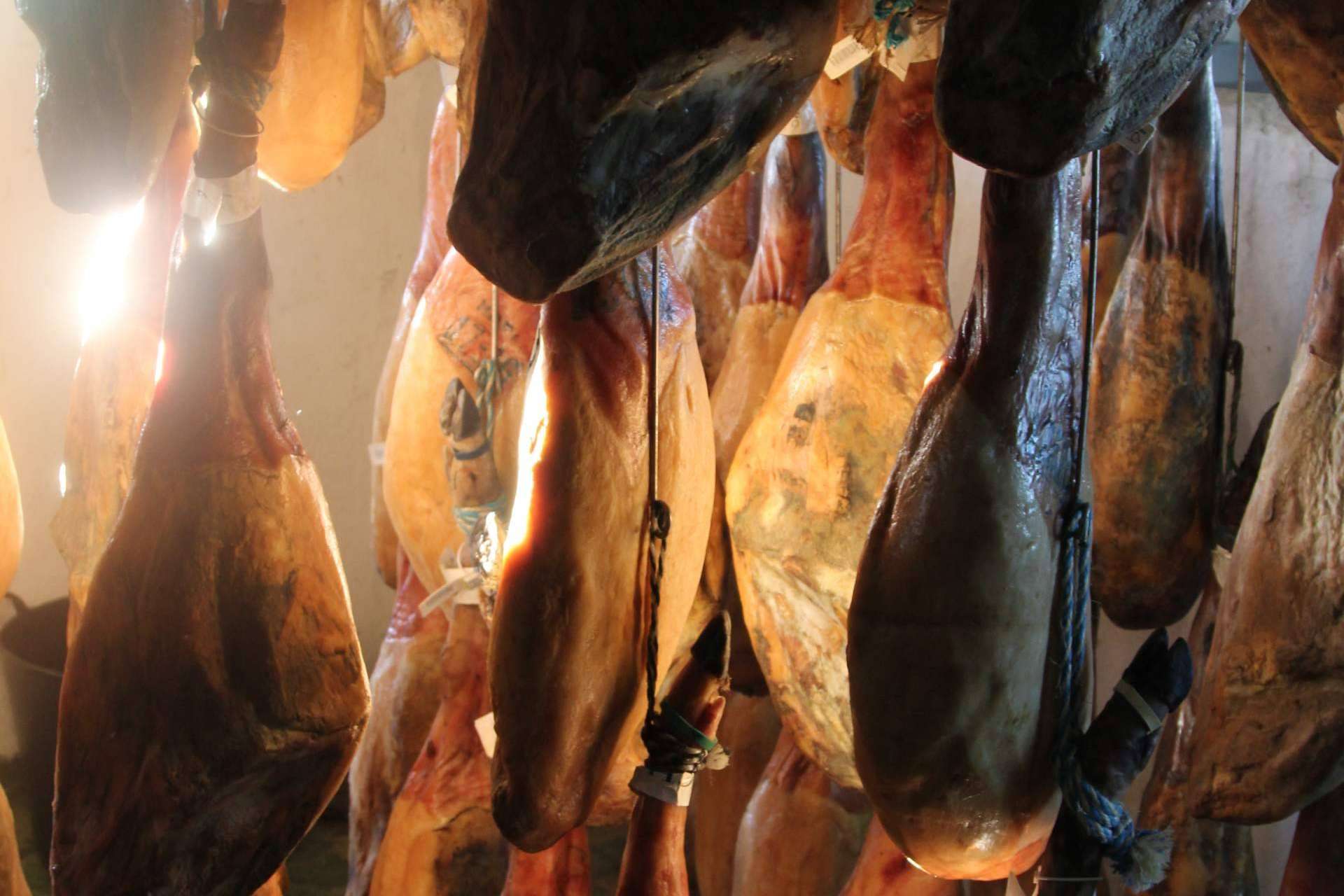 La marca Torrecinas dispone del gran protagonista de la gastronomía española, el jamón ibérico de bellota de Torrencinas