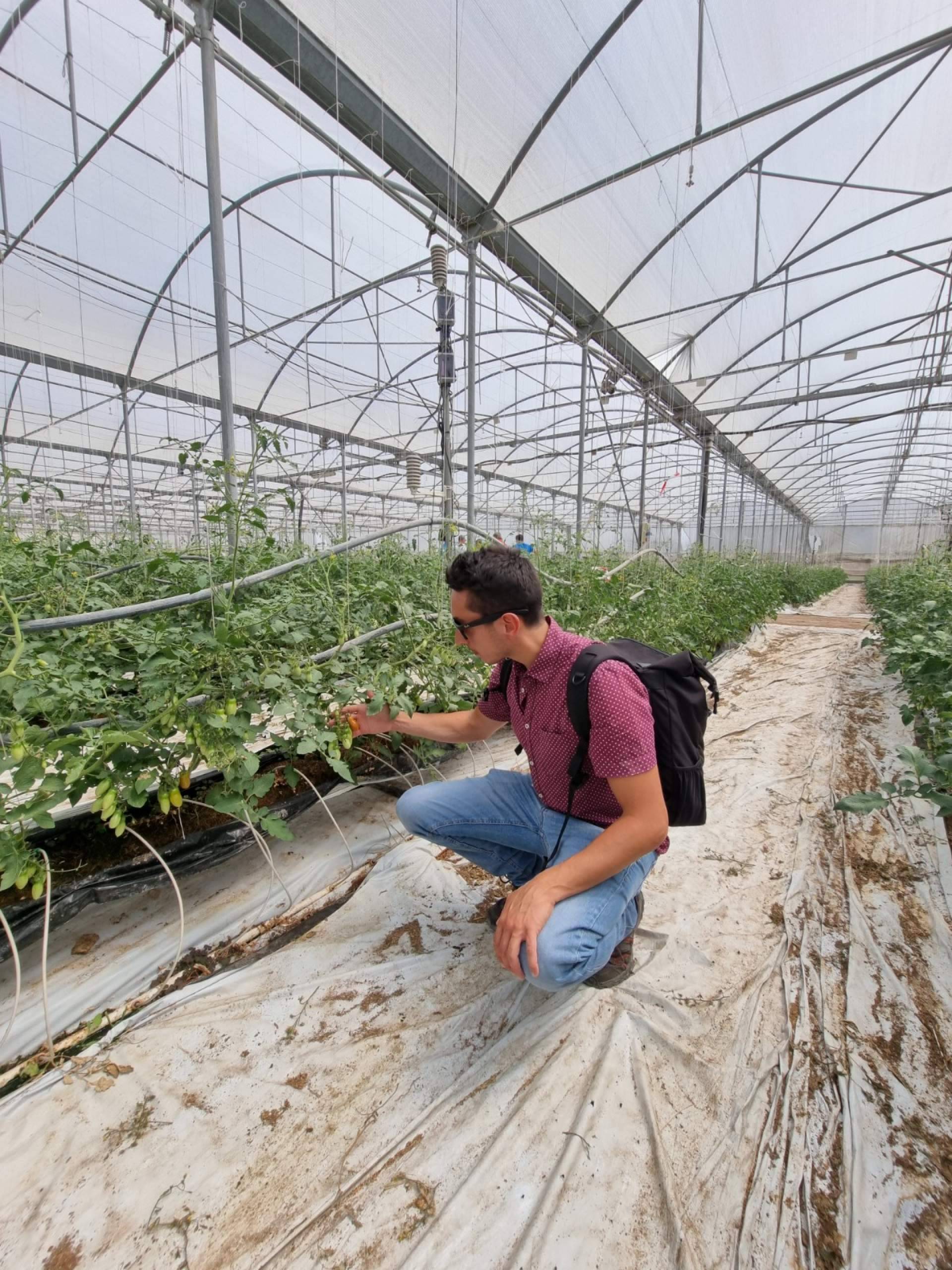Malla termodifusora con partículas de aluminio: mejorar la calidad de los cultivos gracias a la empresa AGRALIA