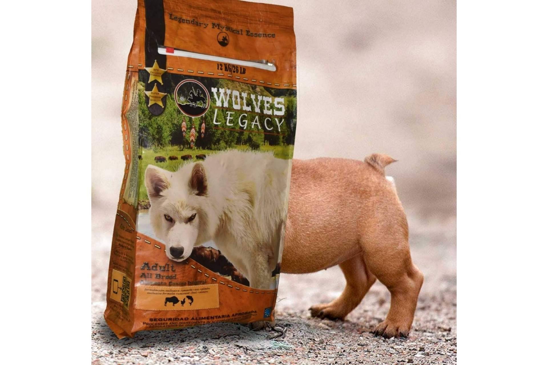 Wolves Legacy: los piensos para perros líderes en el mercado ¿Deberían ser variados?