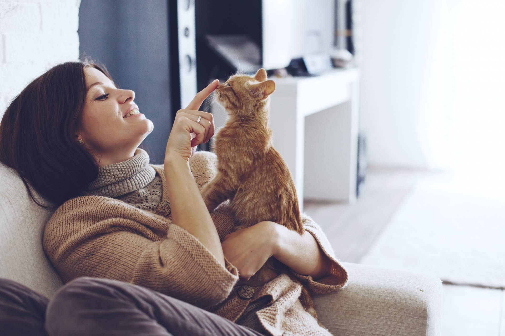 Recomendaciones para una buena convivencia con perros y gatos. La antrozoología y etología del perro y del gato