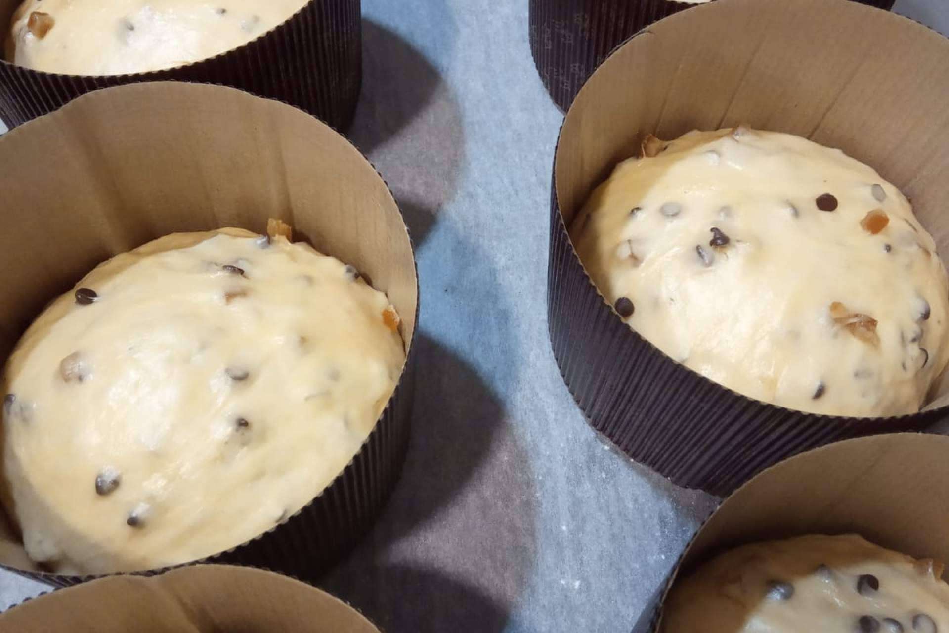 El sabor único y la calidad del panettone artesanal en Alicante