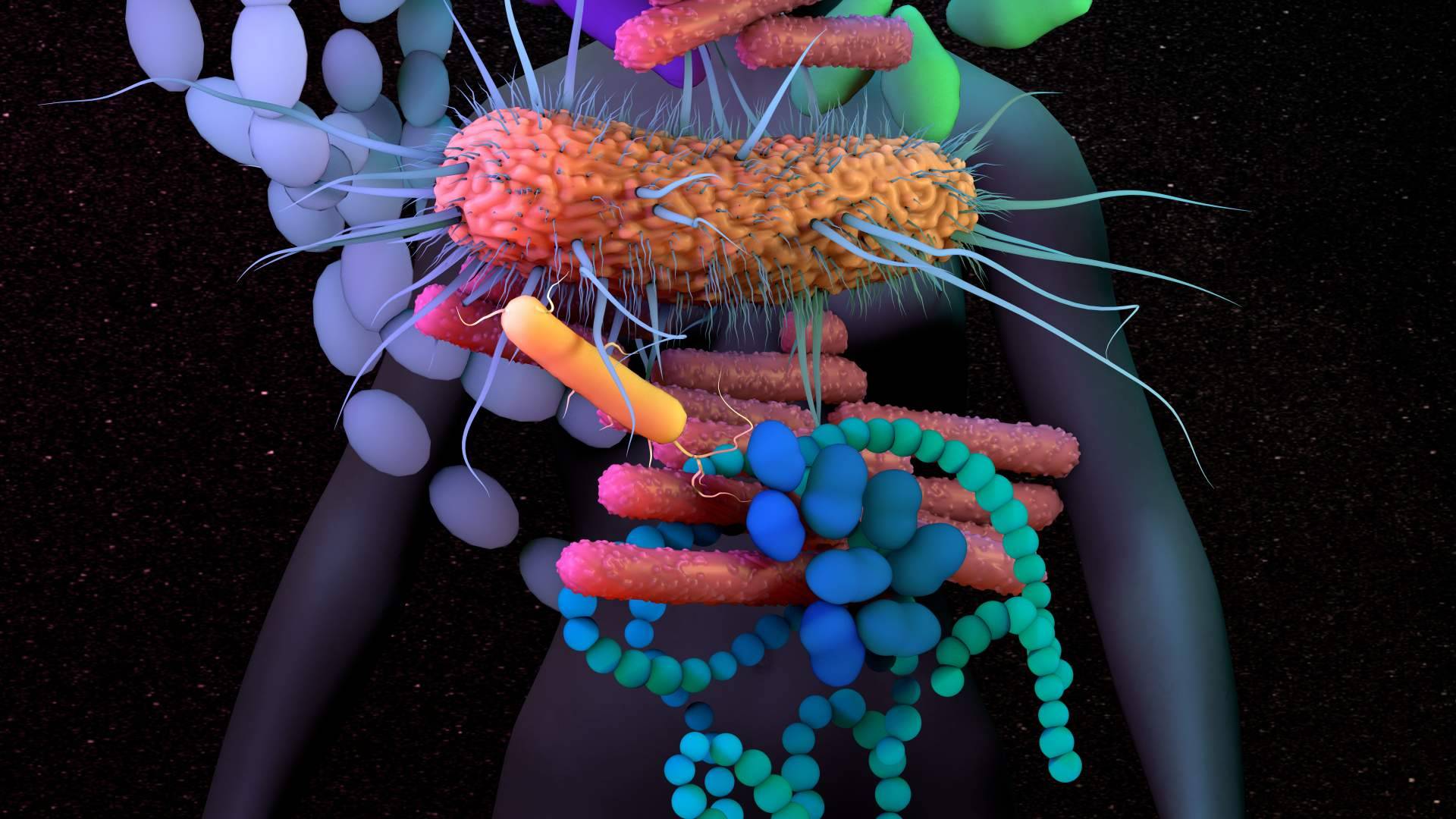 Dr. Fernando Ruger Viarengo, una gran referencia en nutrigenética y microbiota en España