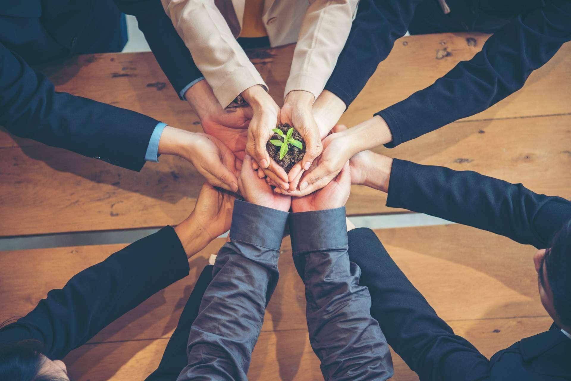 DoGood explica cómo crear cultura sostenible en una empresa