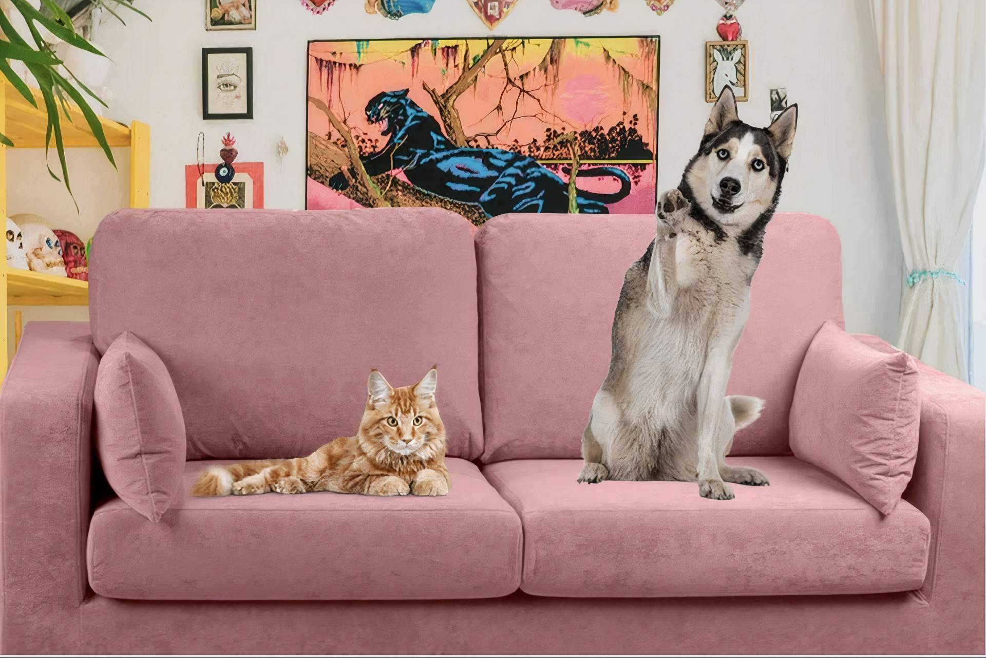 Las principales ventajas y desventajas de compartir el sofá con las mascotas