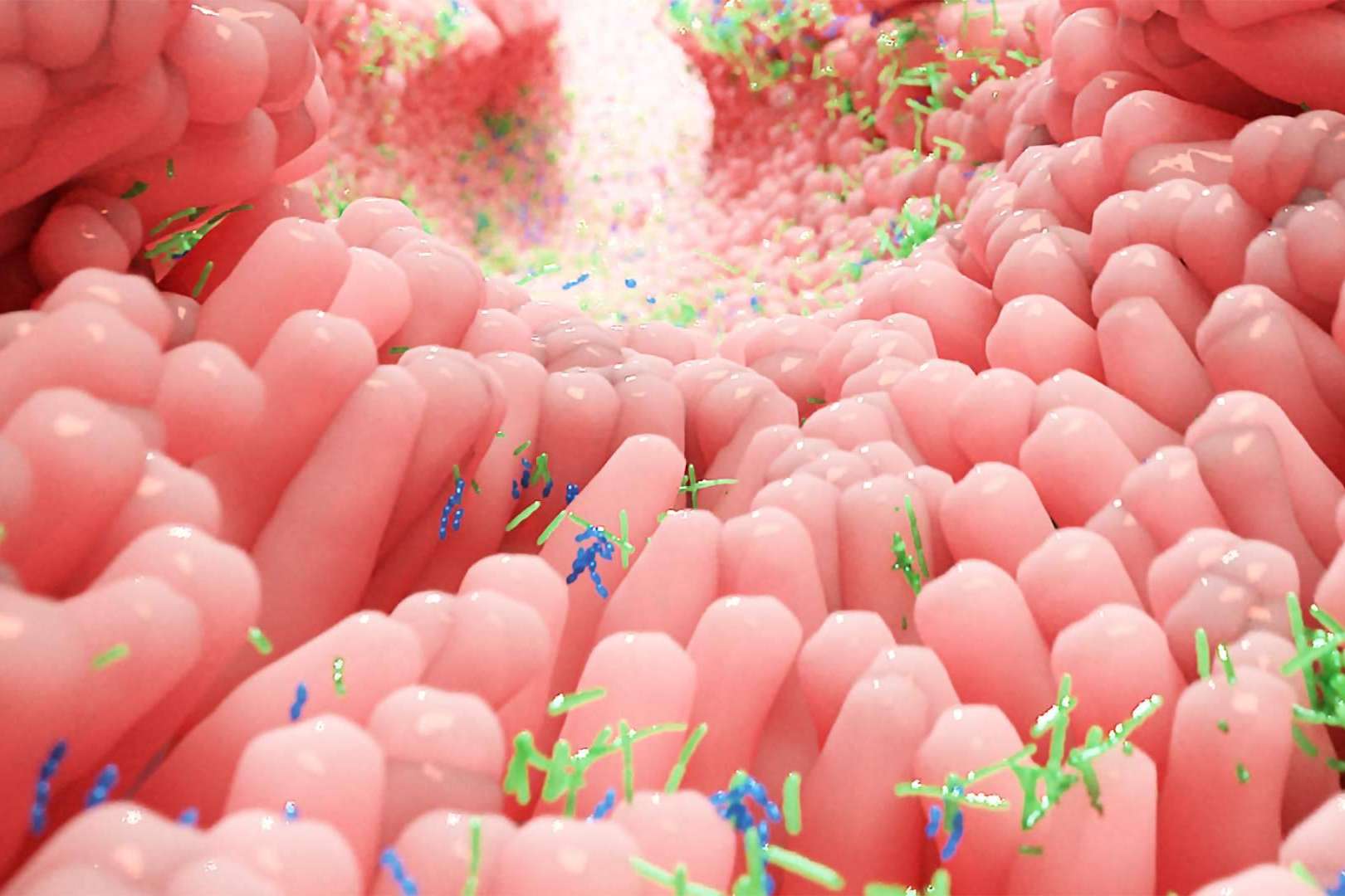 El por qué de la pandemia actual, prevención y pautas generales del tratamiento de candidiasis, por el Dr. Fernando Ruger Viarengo
