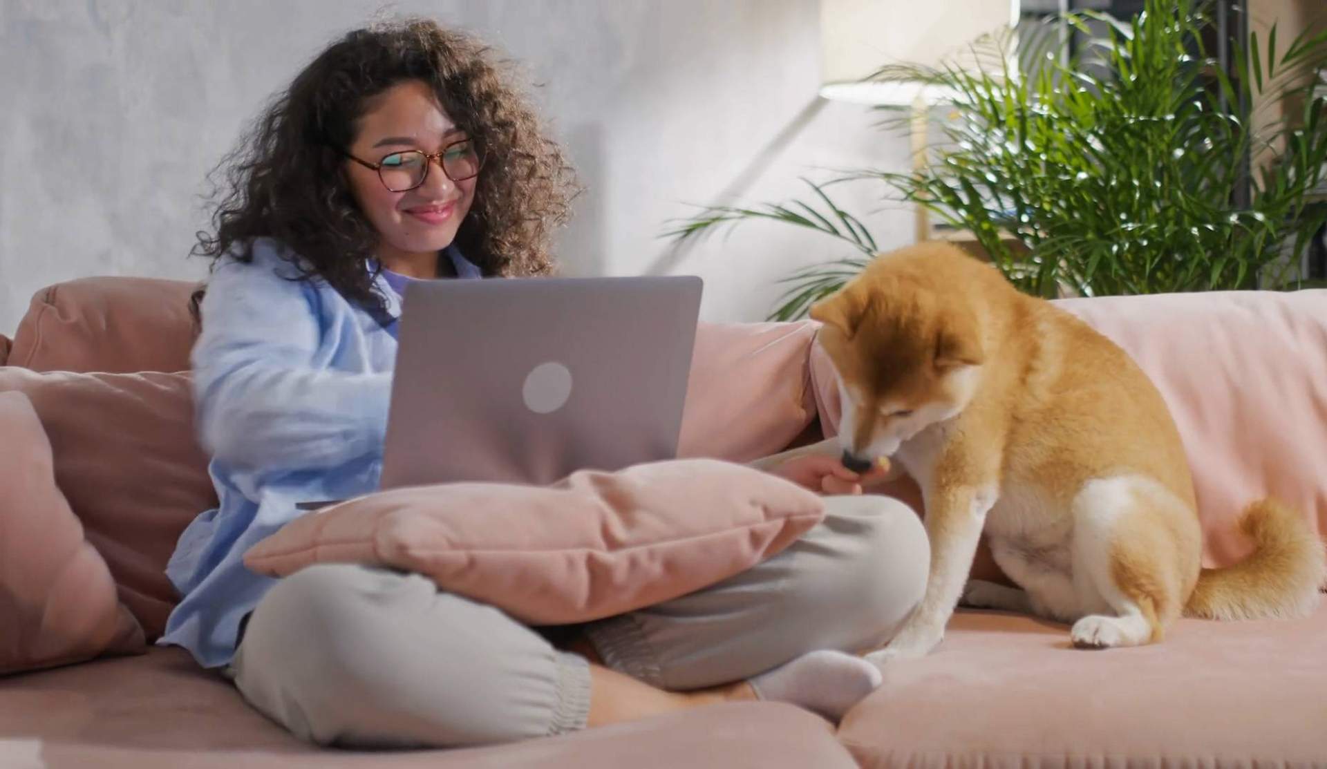 Según Wolves Legacy, 'Buscamos una agencia de marketing con experiencia y completa, y la encontramos'