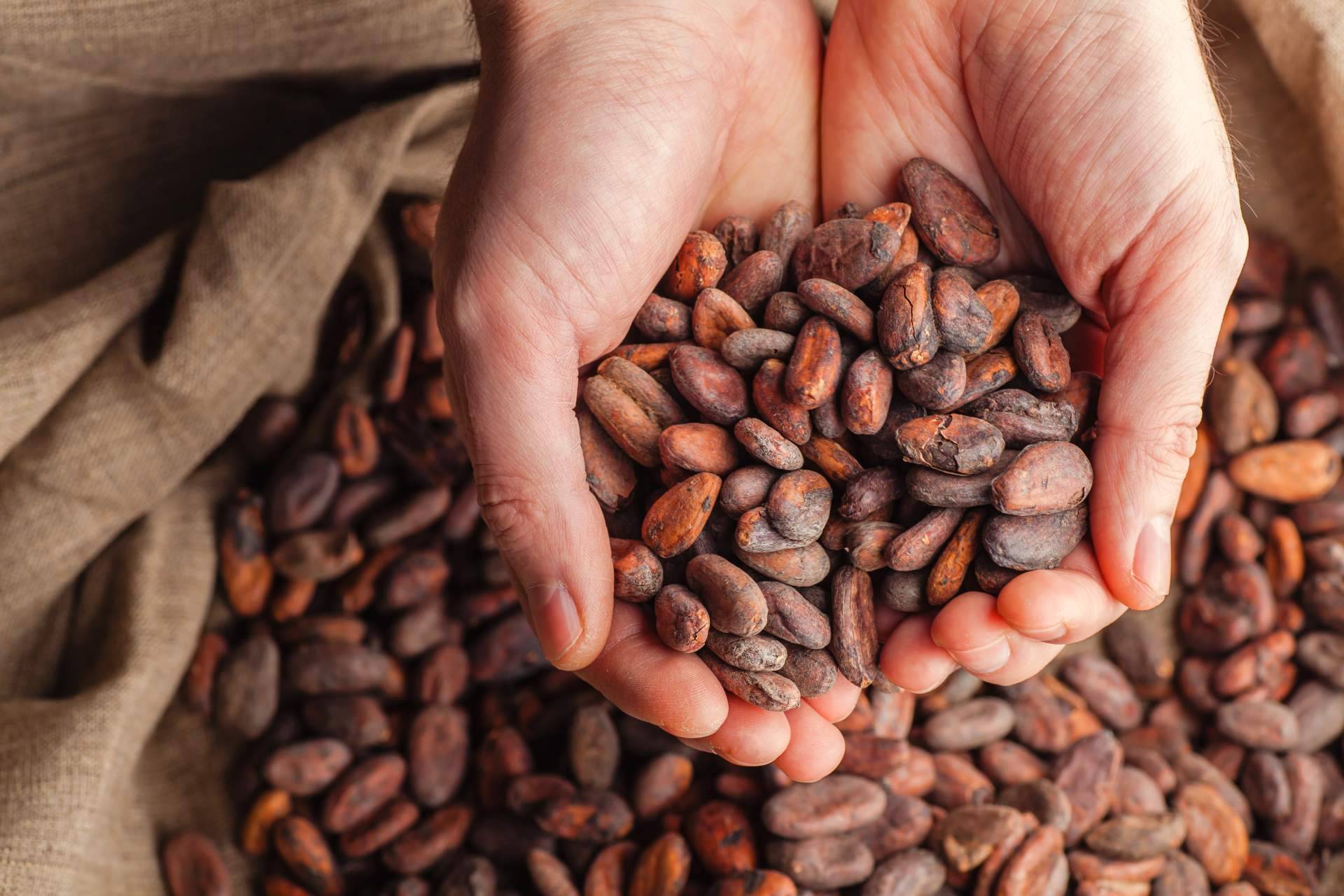 La historia de una fruta como el cacao, de método de pago a token