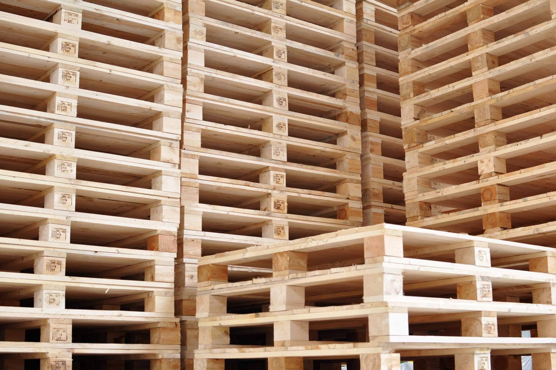 FAEMPAL ofrece palets de madera eco-friendly que impulsan el crecimiento sostenible en el sector logístico