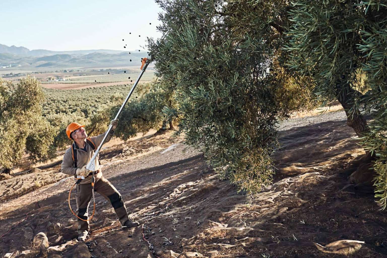 STIHL llevará sus nuevos vareadores SPA de batería 130 y 140 a Expoliva 2023
