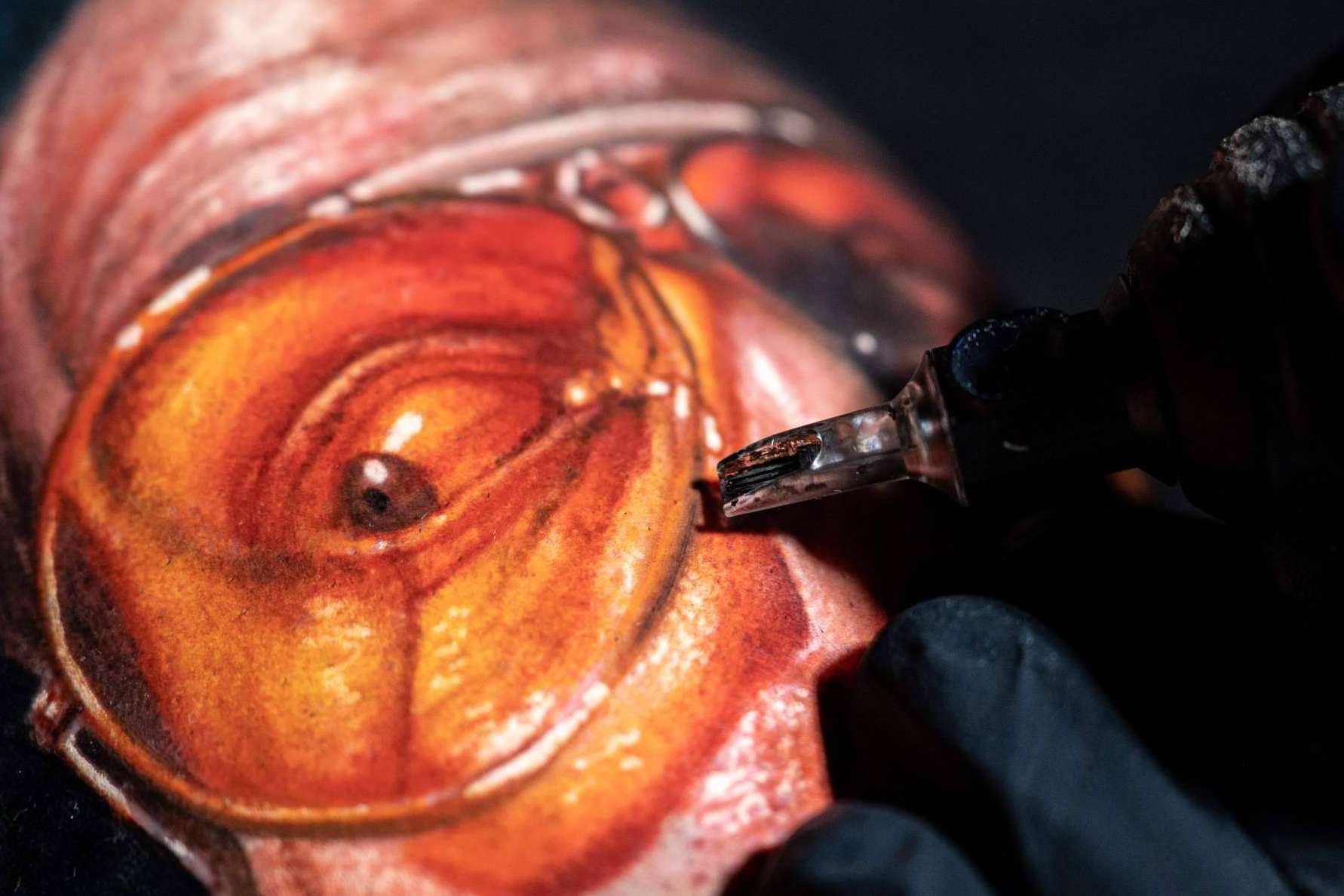 Cursos de tatuaje realista a color en la plataforma Habbility