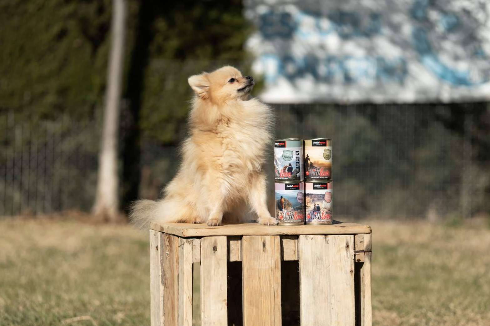 With Love, la nueva gama de comida húmeda para perros y gatos de Satisfaction