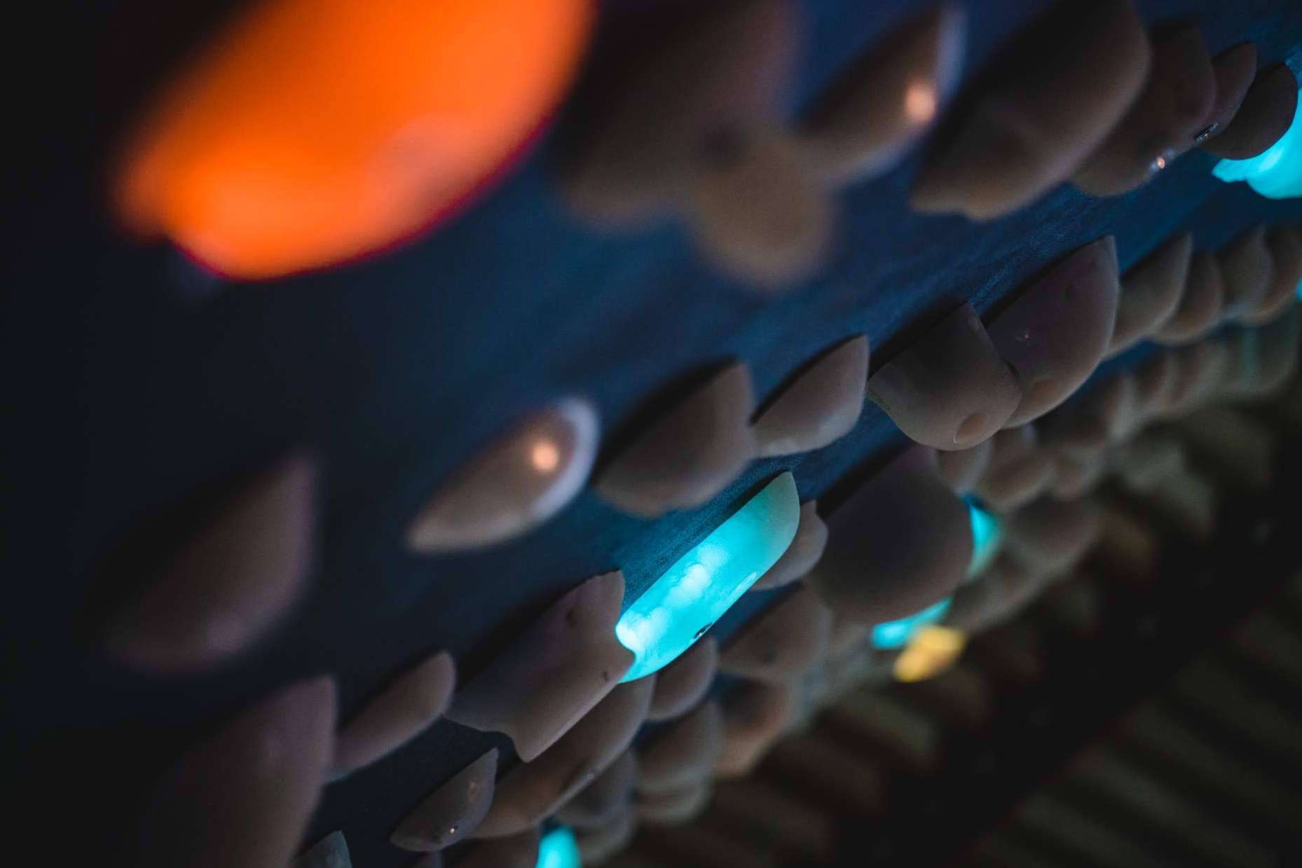 Rocódromos en España con paredes interactivas de la mano de Shiny Wall