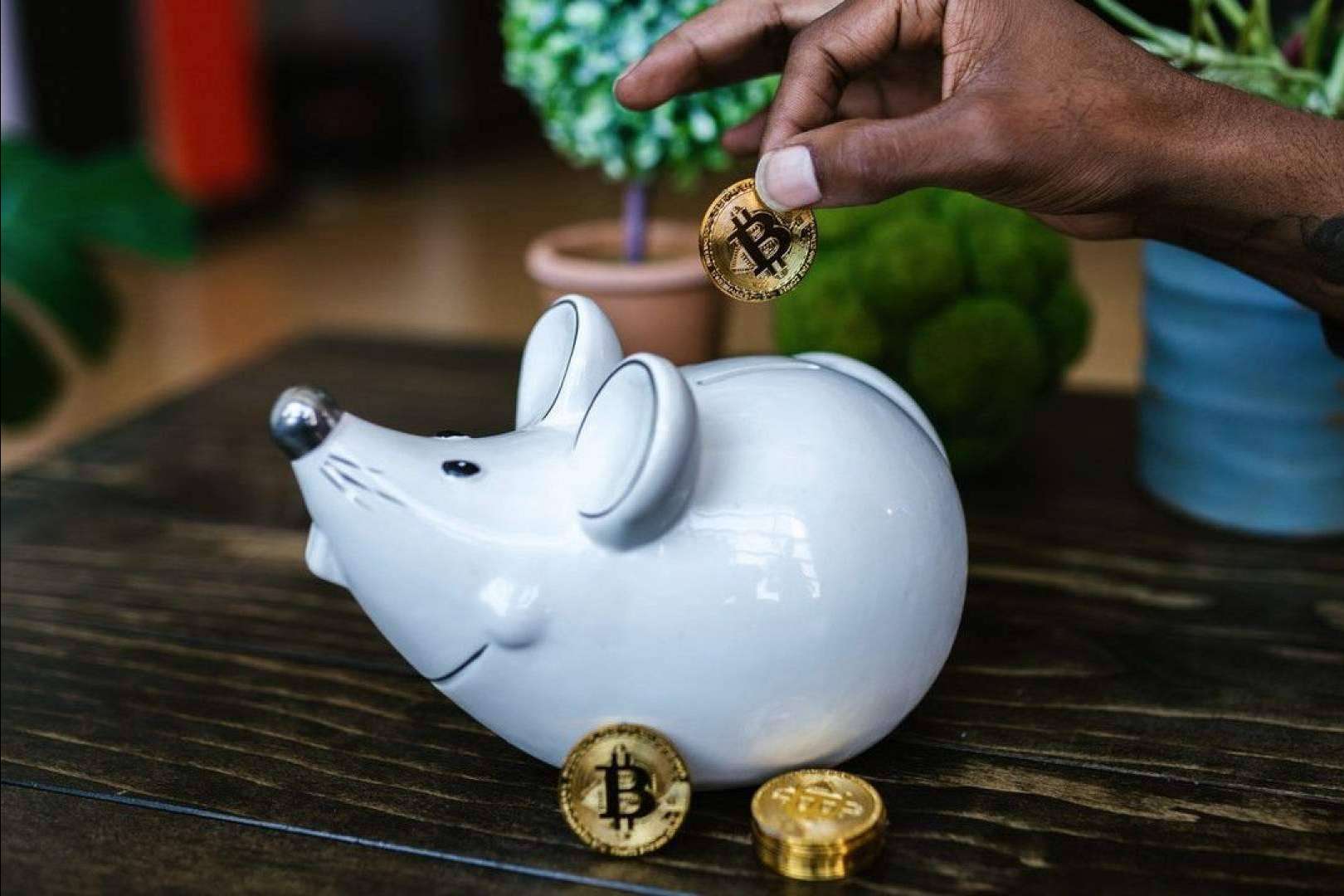 Los Bitcoin ETF y los halvings refuerzan la preventa de Bitkoin