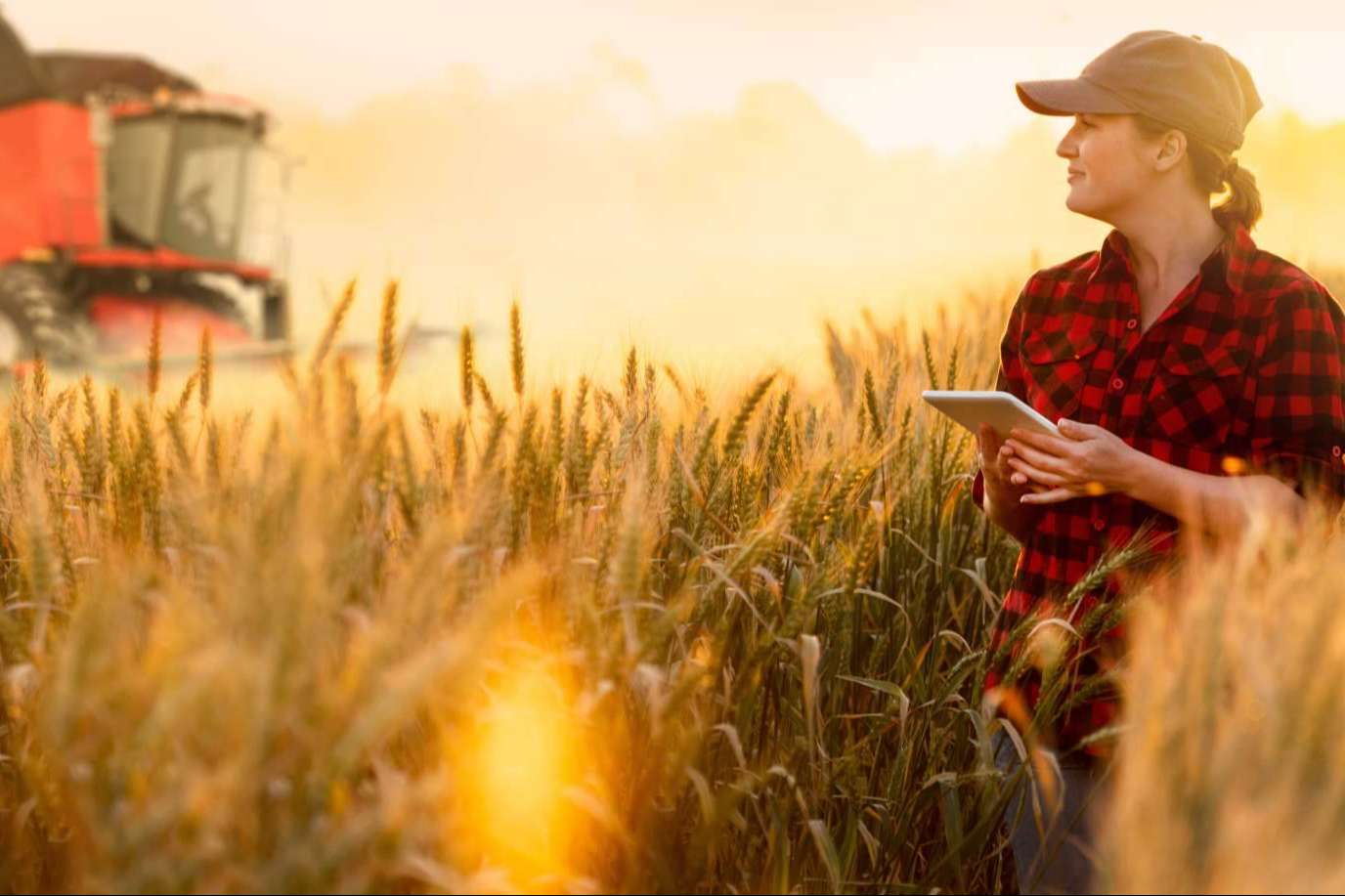 Soluciones específicas para el sector agropecuario con Certitec y los cuadernos de explotación