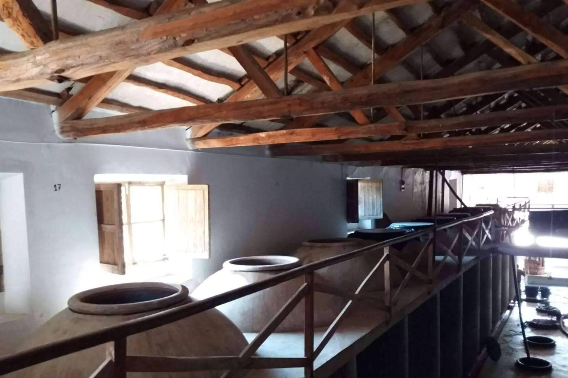 Producción orgánica y de calidad en Bodega Cantos
