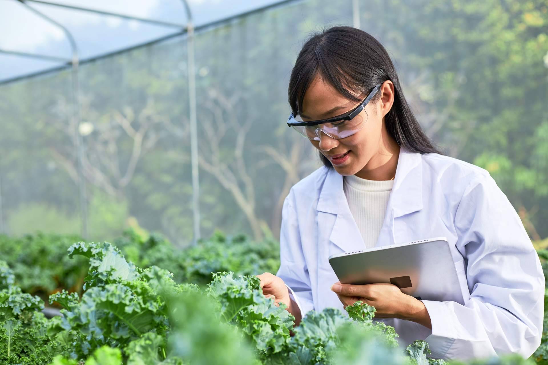 Expertos gestionan la obtención del Certificado GlobalG.A.P. de buenas prácticas agrícolas
