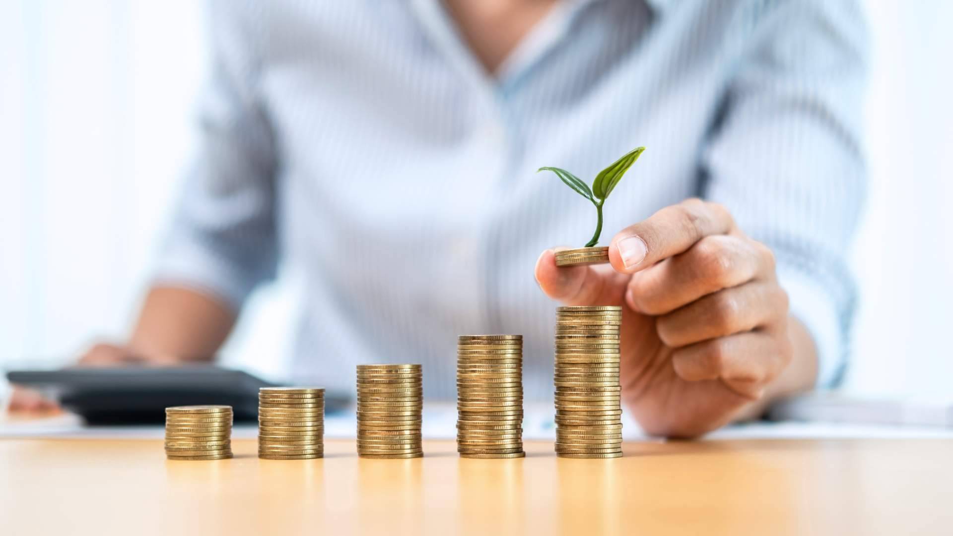 SeniorConta, una herramienta para la contabilidad precisa y la generación puntual de impuestos sin errores
