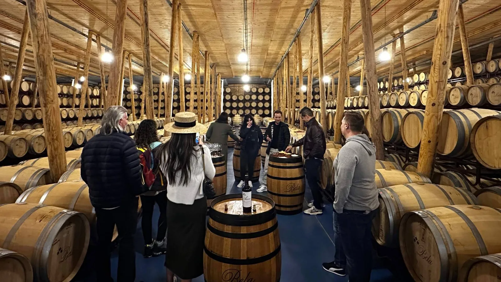 Tour de vinos frente a una ruta por cuenta propia; las diferencias que cambian la experiencia
